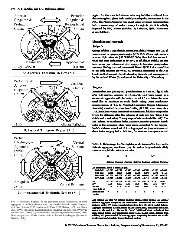 Download Dissociable memory effects after medial thalamus lesions in the rat.